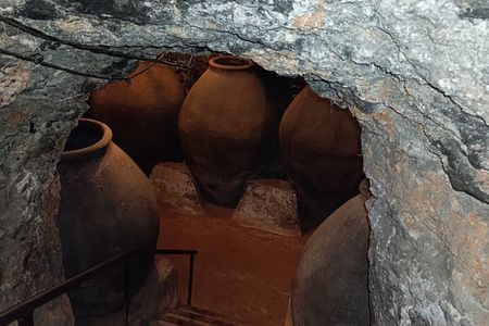 Madrid Wine Experience: Winery Tour & Lunch in Chinchón
