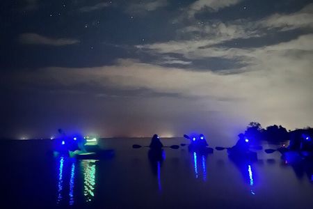 Bioluminescent Kayak Tour in Floridas Indian River Lagoon