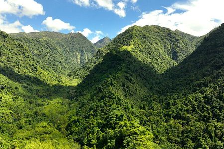 Tahiti: Nature & Planting Immersion Day