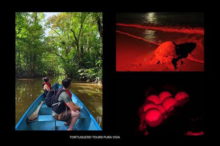 2 Tour Package - Canoe Tour and Turtle Nesting Tour 