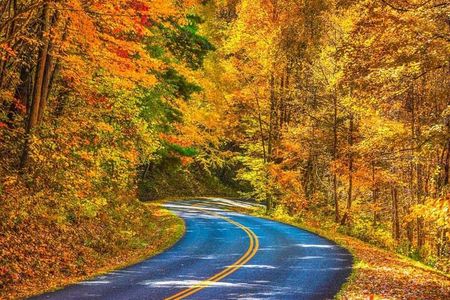 Fall Foliage Tour