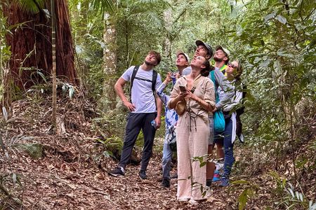 Tijuca Forest: Tour with Waterfalls and Caves