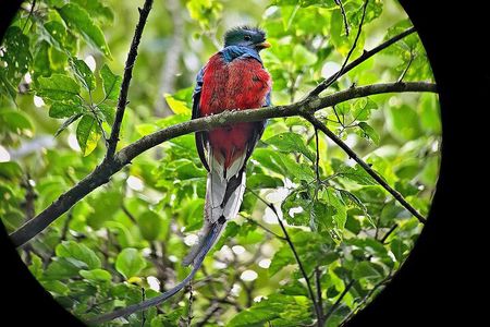 Monteverde Cloud Forest small group tour