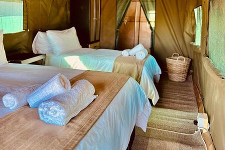 2 Day Pilanesberg Camping Safari from Johannesburg