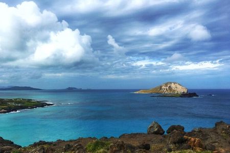 Oahu half day Circle Island tour breakfast / Byodo-inn included