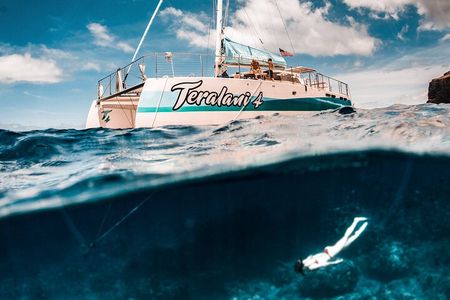 Maui: Kaanapali Beach 5-hour Snorkel w/ BBQ Lunch & Open Bar