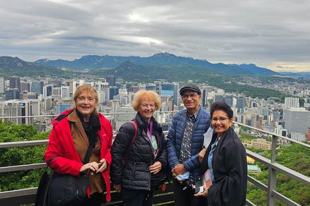 Free style private Tour(Essence of Seoul city or DMZ)