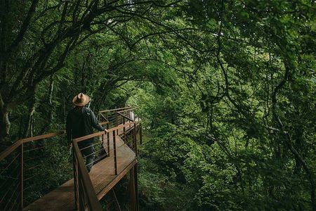 Martvili Canyon and Prometheus Cave Day Adventure Private tour