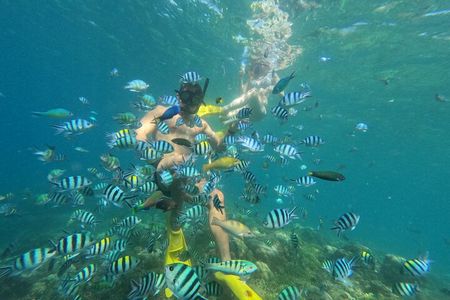 Snorkeling 3 Gili West Lombok Daily Tour (Gili Nanggu, Gili Sudak, Gili Kedis)
