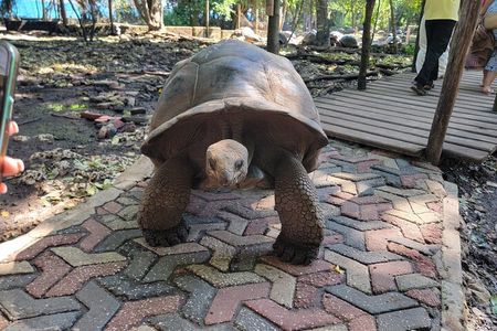 Spice Farm, Stone Town and Prison Island in Zanzibar