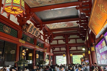 Tokyo Private Half-Day Tour by Car with Local Guide