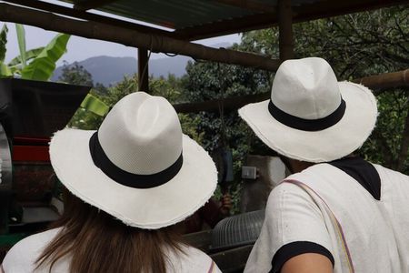 Be a farmer for one day (Coffee farm experience)