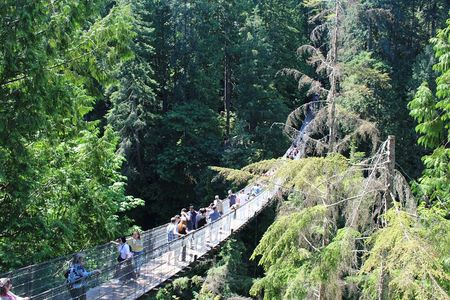 Grouse Mountain, Skyride Gondola & Capilano Bridge from Vancouver