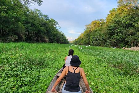Amazon Jungle Tour From Iquitos (4 Days)