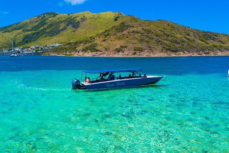 Discovery Powerboat Tour ,Snorkeling with Turtles & BBQ Lunch