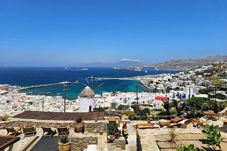 Mykonos Island Private Tour: Explore Like a Local in 4 Hours
