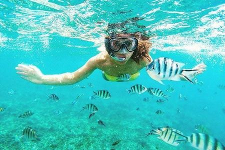 Snorkel in the Crystal Waters of Zanzibar 