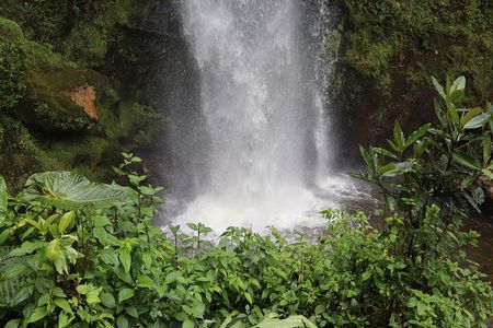 Colombia’s Tallest Waterfalls: La Chorrera Hike