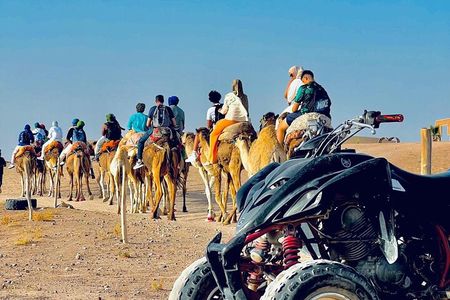 Marrakech: Quad Bike and Camel Ride &Dinner show in Agafay desert