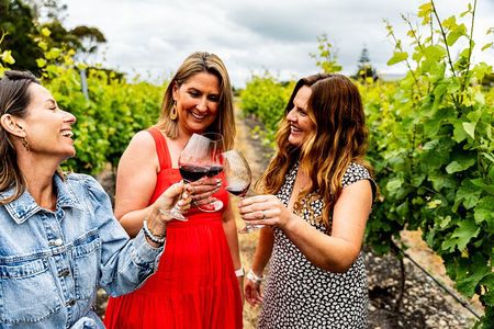 Hawkes Bay Wine & Local Producers Tour | Award Winning | 6 hours