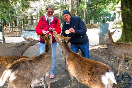 Nara Private Custom Walking Tour