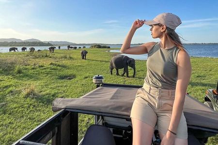 Minneriya National Park Half Day Jeep Safari - Private Safari