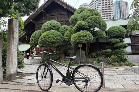 Tokyo 3-Hour Guided E-bike Cycling Tour of the City's Hidden Gems