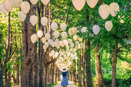 Nami Island, Garden of Morning Calm Tour with Rail Bike Option