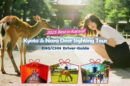 Osaka/Kyoto Day Tour: Nara Deer, Fushimi Inari& Kiyomizudera