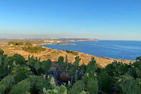 Gozo Private Discovery Tour - Culture, Nature, and Local Flavors