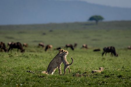  Private 6-Day Kilimanjaro Tour with Transportation