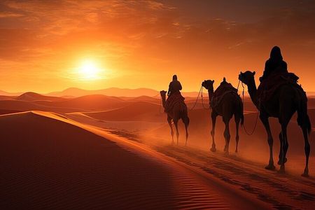 Agafay Desert: Dinner Show Under the Stars with Camel Ride