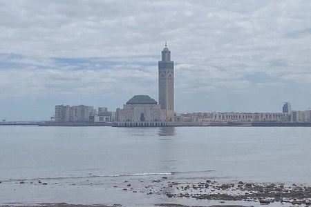Full Day Tour to Casablanca from Marrakech - Hassan ii Visit