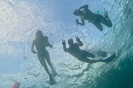 Hollywood Beach Snorkel Guided Tour on New Reefs and Sculptures