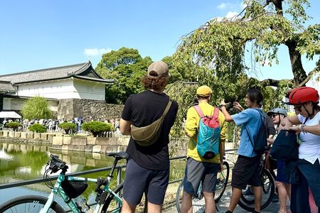 Tokyo 3 Hour E Bike Tour of the City Bayside Areas