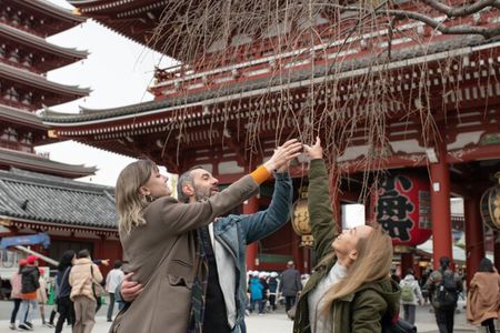 Tokyo Top 10 Highlights & Hidden Gems: Private Tour with a Local