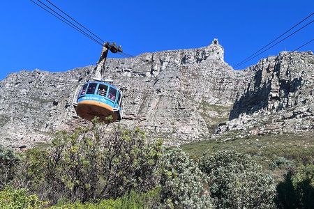 Cape Town Private Tour by Cable Car and Car