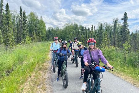 eBike Art and Trails Guided Tour of Anchorage