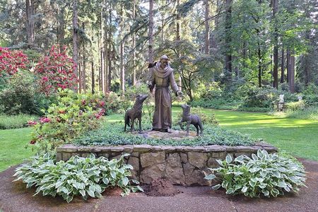 Serene Journey to The Grotto