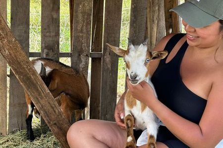 Bottle Feed & Cuddle Baby Goats Tour on Big Island Farm
