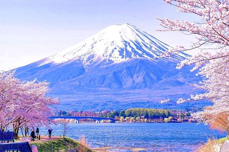 Day Tour at Mt. Fuji, Kawaguchi Lake and Oshino Hakkai in Tokyo