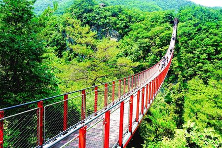 BEST DMZ Tour with Pistol Shooting Experience from Seoul