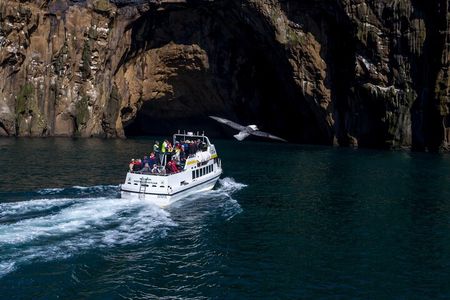 Puffin Islands and volcano Boat Tour