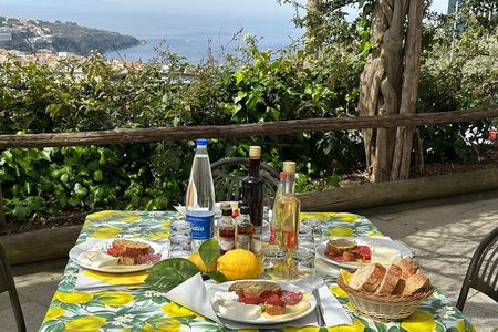 Tasting Limoncello, Oil and Typical Products in Farmhouse
