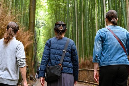 Arashiyama from Kyoto: Private & Personalized with a Local Guide