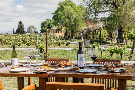 Familia Torres Winery: Gastronomic Tapas & Wine Experience