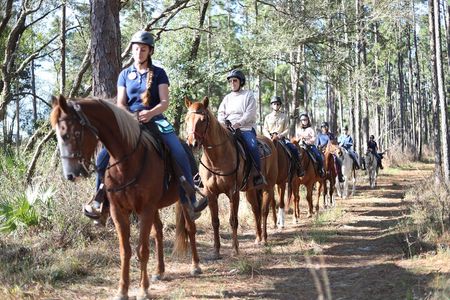 Guided Two Hour Horseback Trail Ride in Central Florida