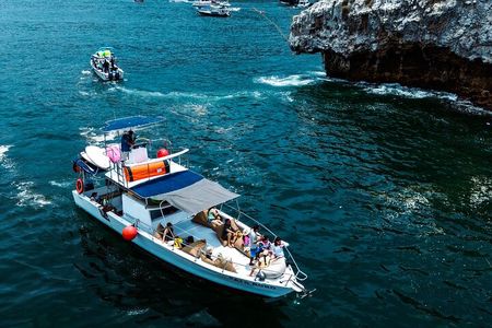 Famous Pato Bobo Adventure Boat