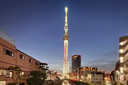 Private Tokyo Night Tour 