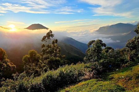 Coimbatore to Ooty Day Trip - Explore A Perfect Hill Station 